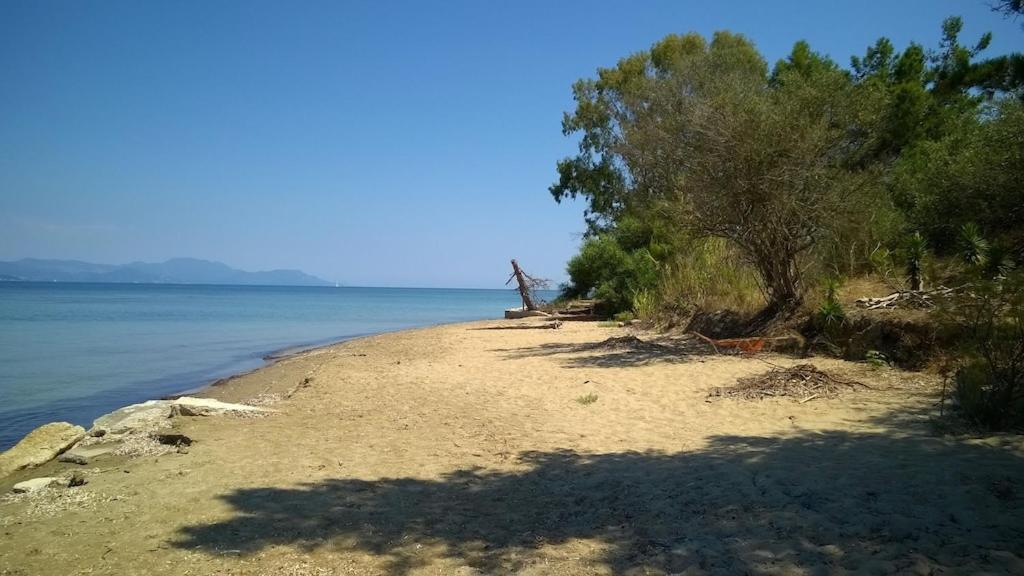 Ionio Apartments Lefkimmi (Corfu) Exterior foto