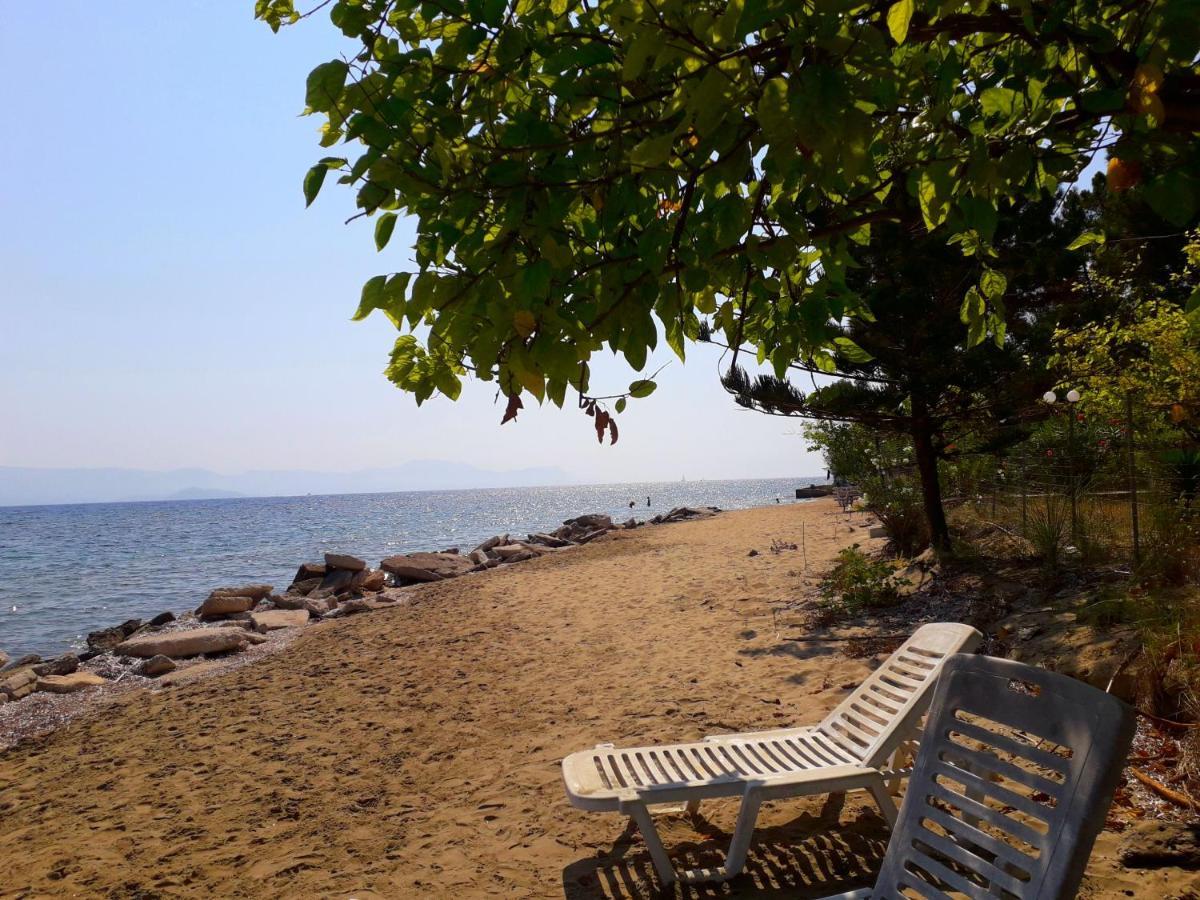 Ionio Apartments Lefkimmi (Corfu) Exterior foto